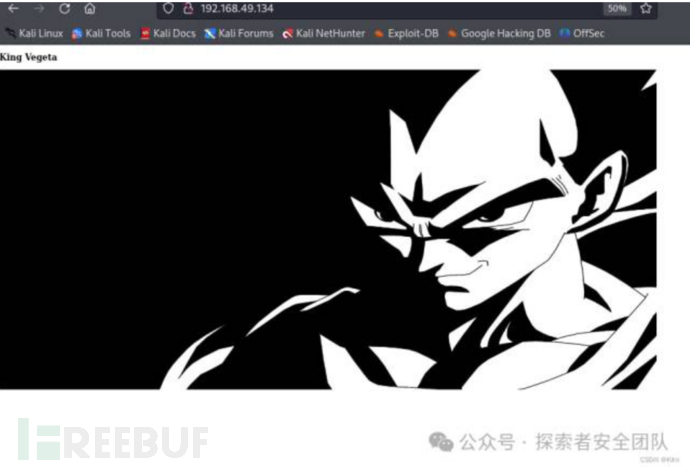 vulnhub -vegeta 靶机插图2