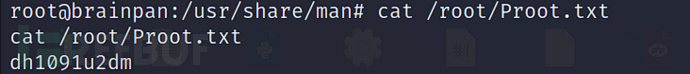 [Vulnhub] BrainPan BOF缓冲区溢出+Man权限提升插图19