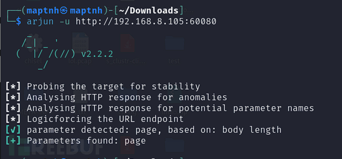 [Vulnhub] wallabysnightmare LFI+RCE+Irssi聊天服务RCE插图6