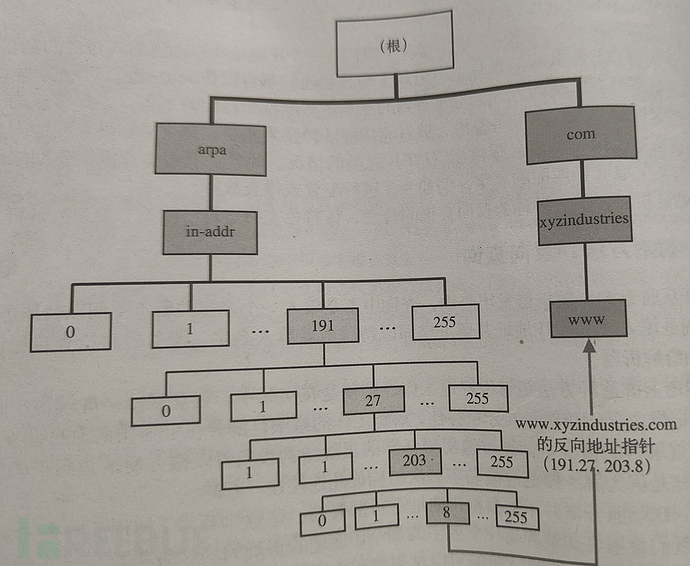 DNS解析概念和解析器操作插图3