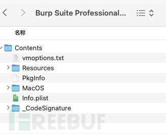 burpsuite Professional v2024.11.1 for mac插图5