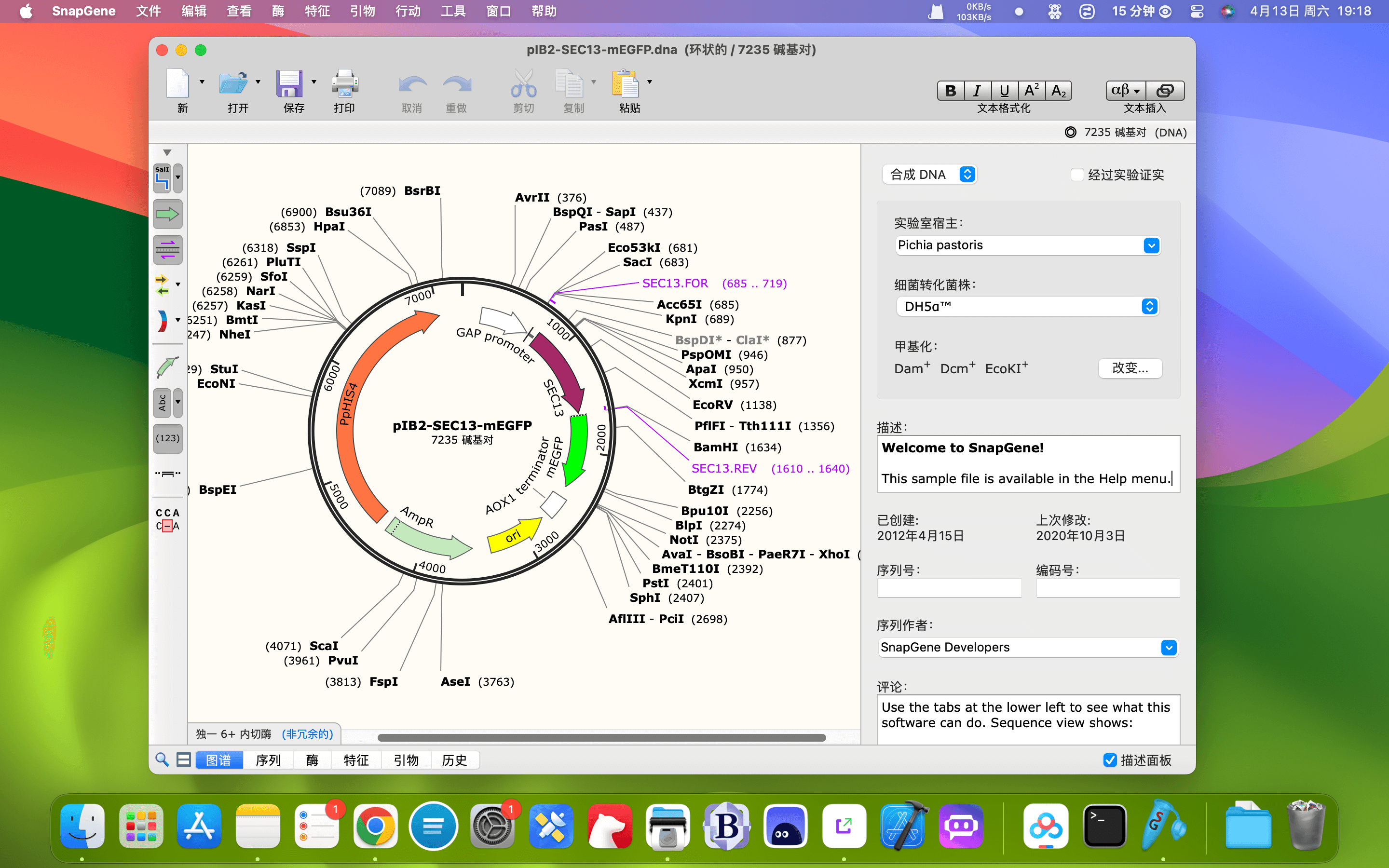 SnapGene for Mac v5.3.1 DNA序列分析软件插图2