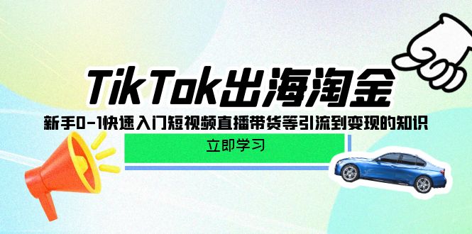 TikTok出海淘金 快速入门插图