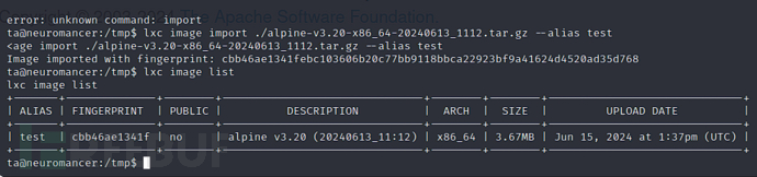 [Vulnhub]Wintermute LFI+SMTP+Screen+Structv2-RCE+L…插图32