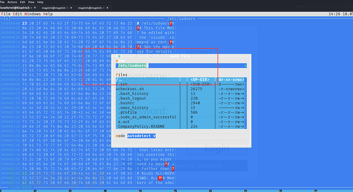 [Vulnhub] KVM3 (ht编辑器权限提升)插图9