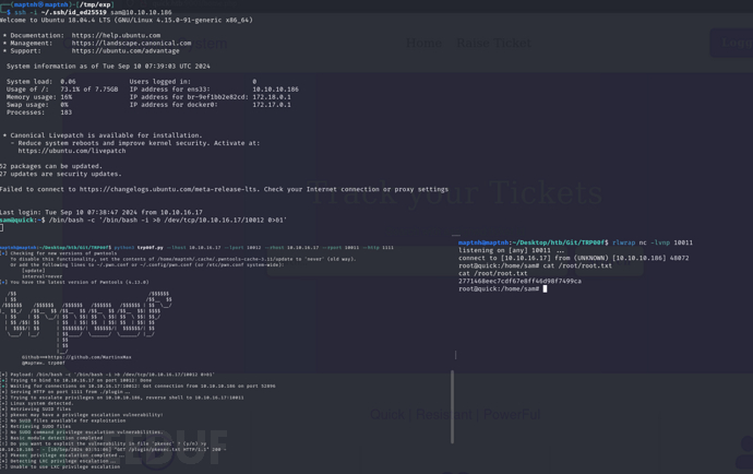 [Meachines] [Hard] Quick HTTP3(QUIC)+ESI-Injection…插图15