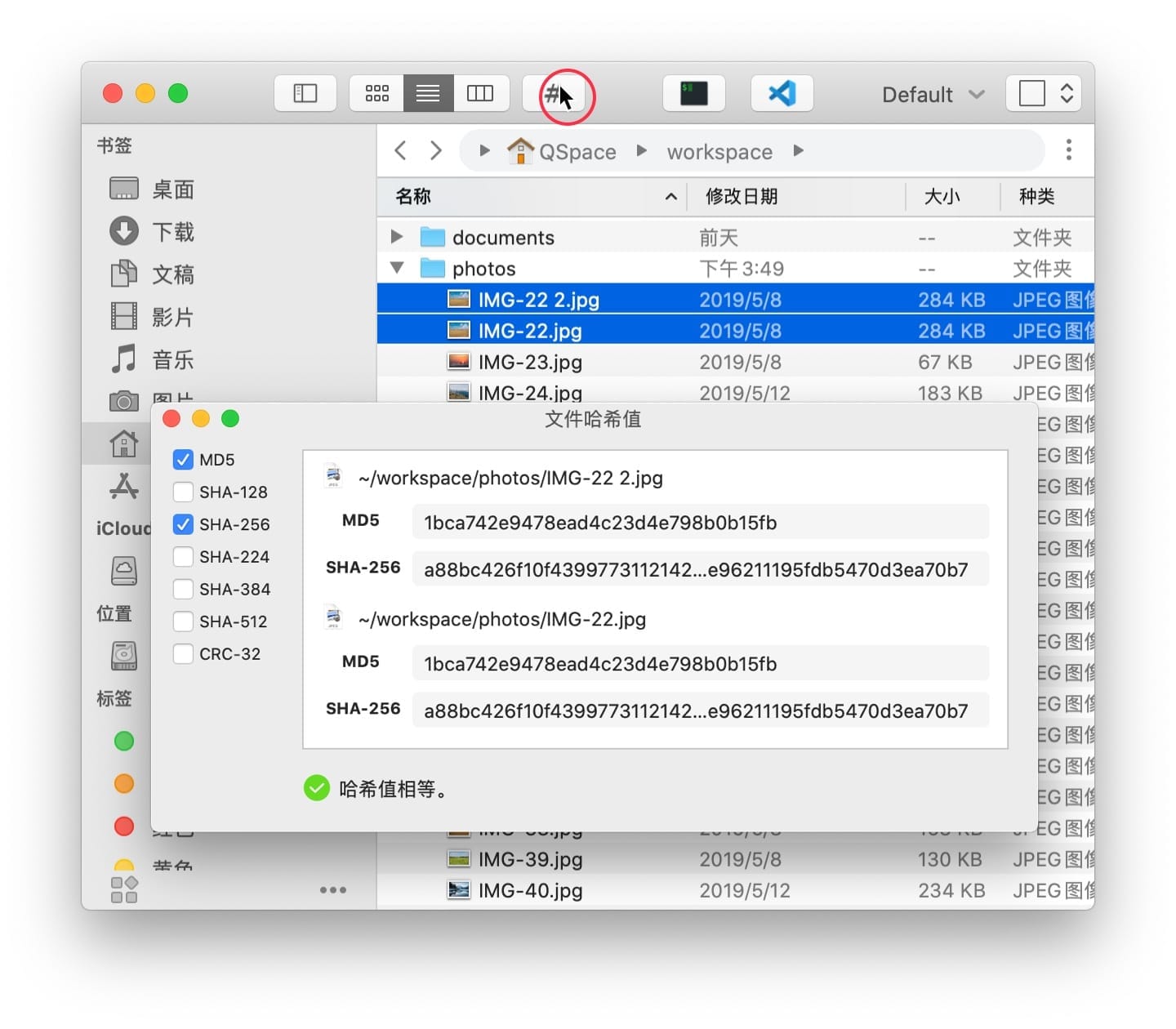 QSpace Pro for Mac v4.3.2 多视图文件管理插图2