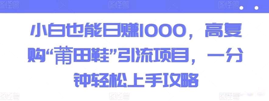 小白也能日赚1000，高复购“莆田鞋”引流项目，一分钟轻松上手攻略插图