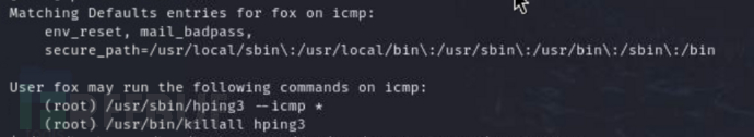 [Offsec Lab] ICMP Monitorr-RCE+hping3权限提升插图7