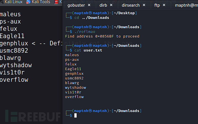 [Vulnhub] Troll FTP匿名登录+定时任务权限提升插图7