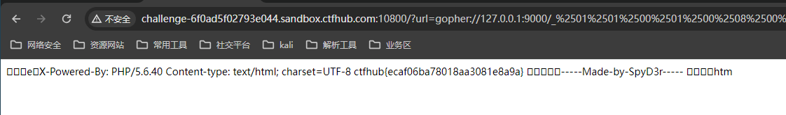 CTFHub技能树通关教程——SSRF漏洞原理攻击与防御（二）（上传文件，FastCGI，Redis…插图7