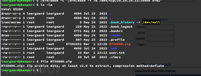 [Meachines] [Easy] Keeper Request Tracker (RT)+KeePass进程残留主密钥泄露+PUTTY-PPK转i…插图5