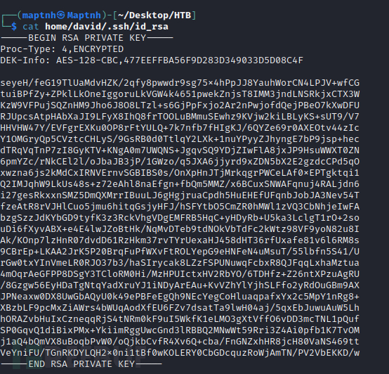 [Meachines] [Easy] Traverxec Nostromo RCE+SSH-私钥RS…插图5