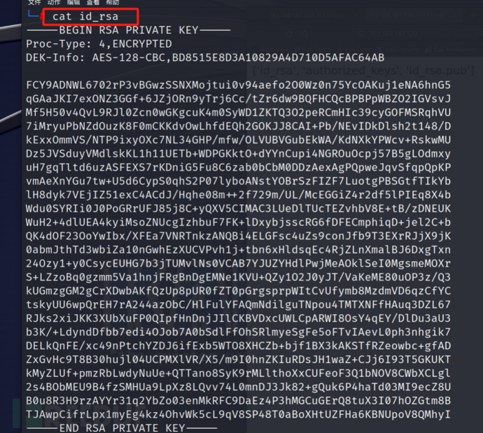 HTB ssh私钥泄露插图13