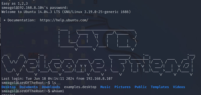 Lord-Of-The-Root Ports-Knocking+SQLI+Kernel+BOF缓冲区…插图7