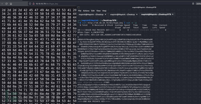 [Meachines] [Easy] valentine SSL心脏滴血+SSH-RSA解密+trp…插图3