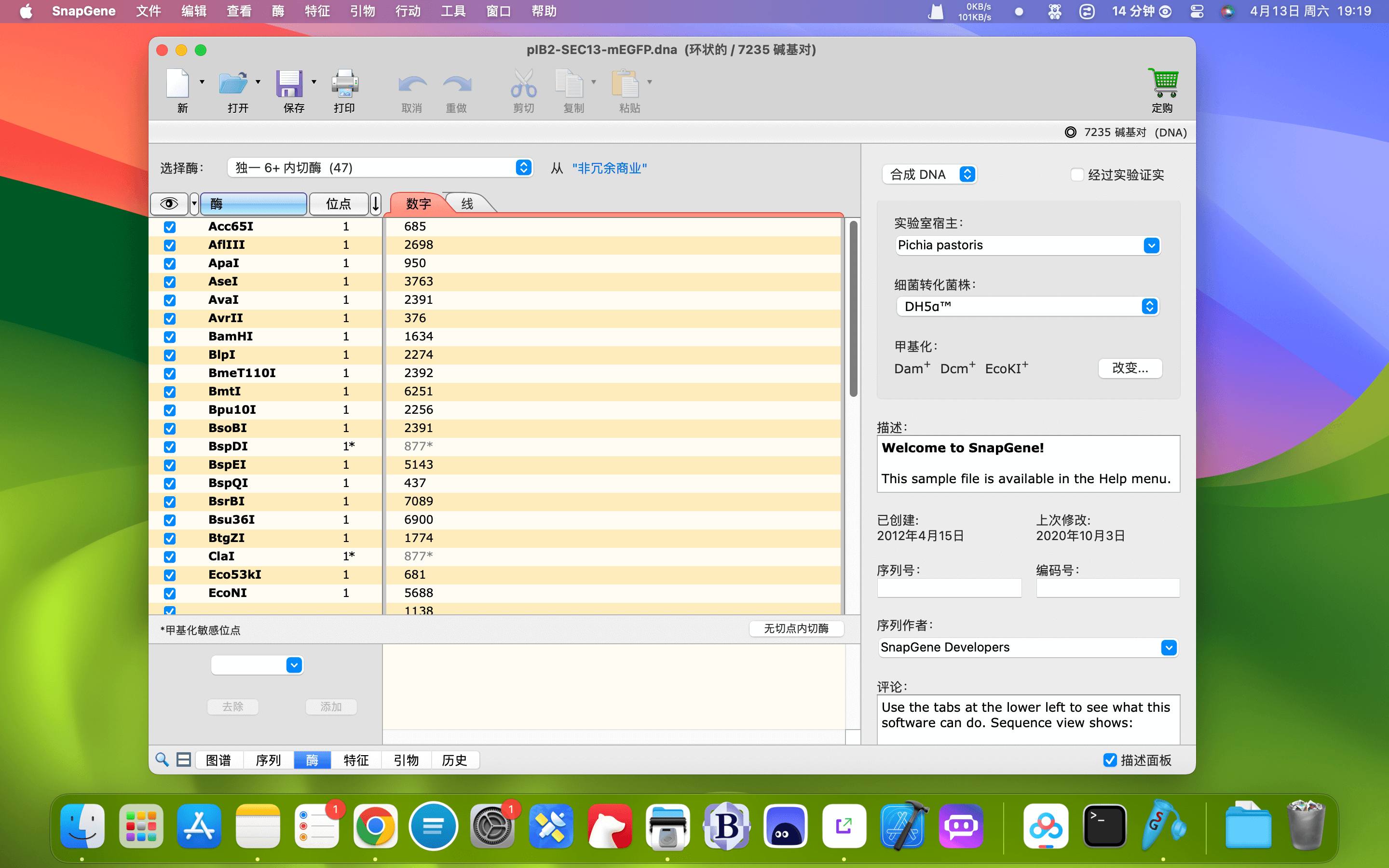 SnapGene for Mac v5.3.1 DNA序列分析软件插图1