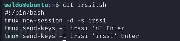 [Vulnhub] wallabysnightmare LFI+RCE+Irssi聊天服务RCE插图21