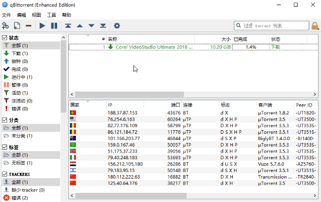 BT下载工具 qBittorrent 4.6.5 Win&Mac 240527最新版+绿色增强版插图