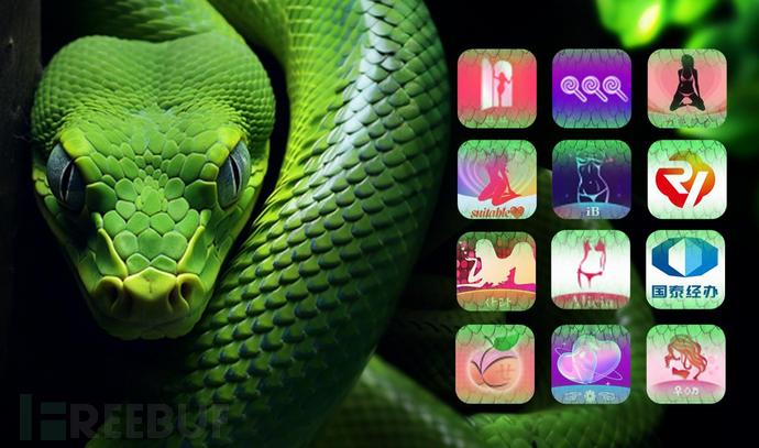 BOOMSLANG（树蚺）移动欺诈家族分析插图