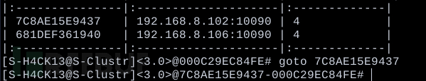 S-Clustr(影子集群)V3 高并发,去中心化,多节点控制插图23