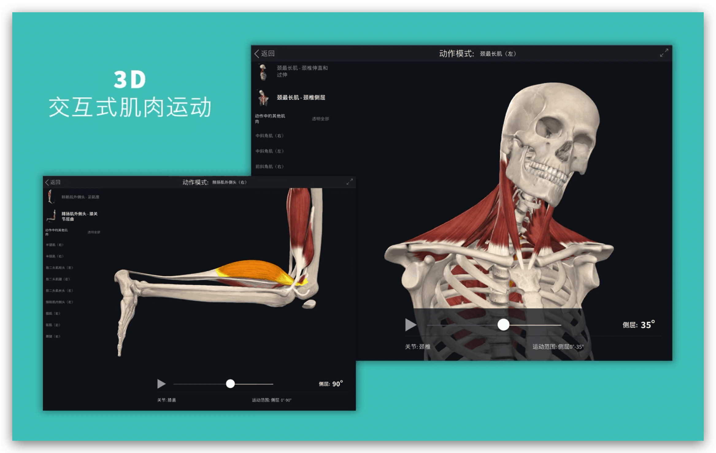 Complete Anatomy 2019 for Mac v4.0.1 三维人体解剖模型插图2