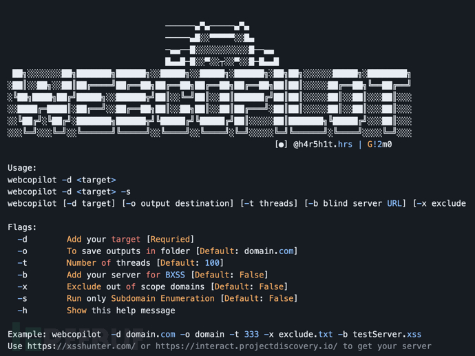 WebCopilot：一款功能强大的子域名枚举和安全漏洞扫描工具插图1