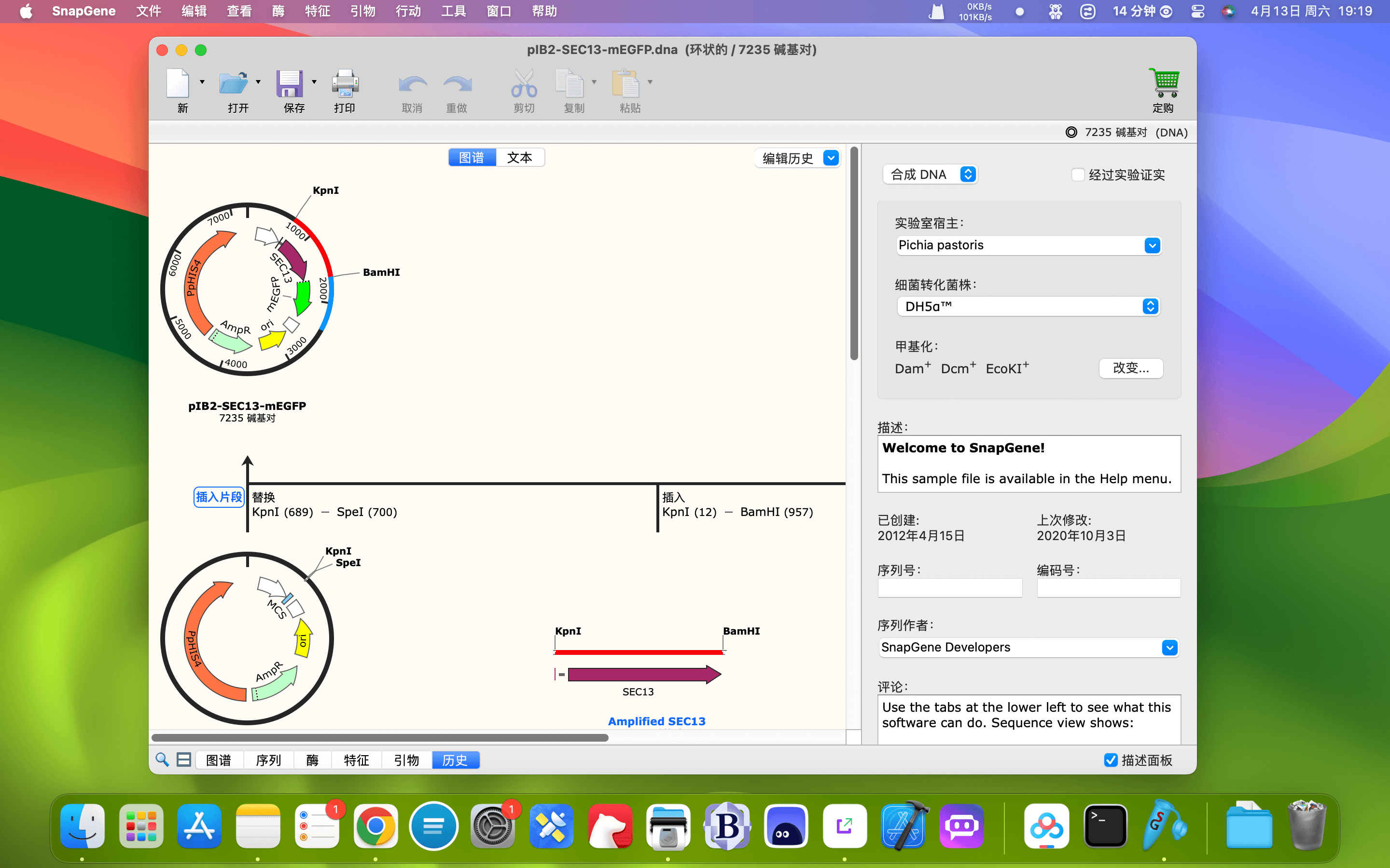 SnapGene for Mac v5.3.1 DNA序列分析软件插图3