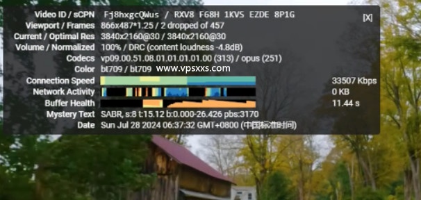 IPRaft盐湖城美国双ISP VPS测评：双ISP价格便宜适合做Tiktok短视频外贸，不适合面向国内使用插图15