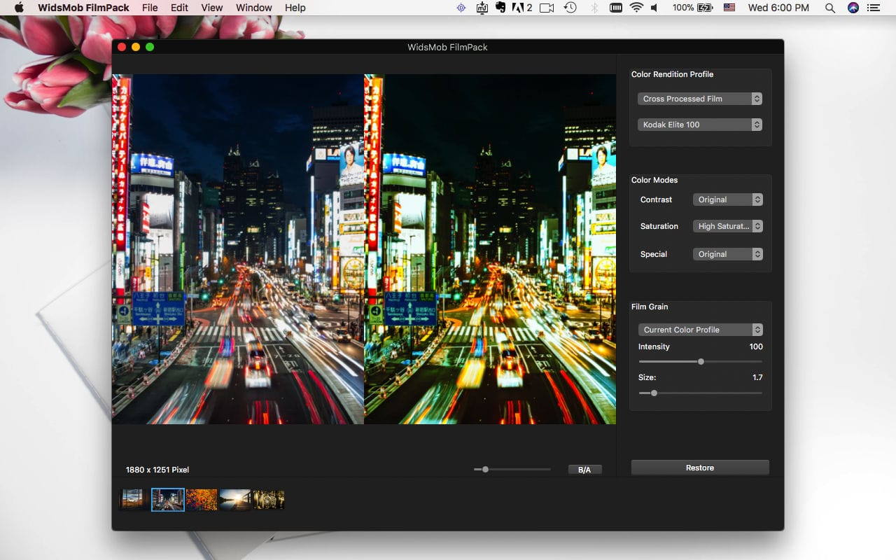 WidsMob FilmPack for Mac v2.9 照片滤镜软件插图2