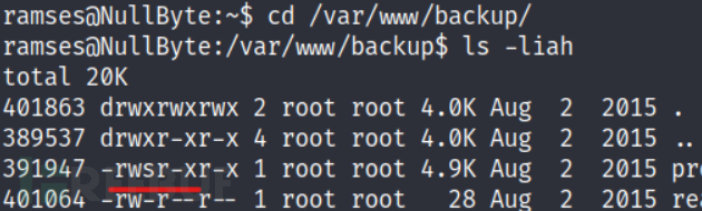 vulhub-nullbyte靶机插图14