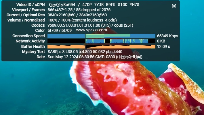 IPRaft美国阿什本单ISP-ATT VPS测评：美国住宅IP走AT&T家宽线路有流量加成，适合美国Tiktok直播短视频外贸插图13