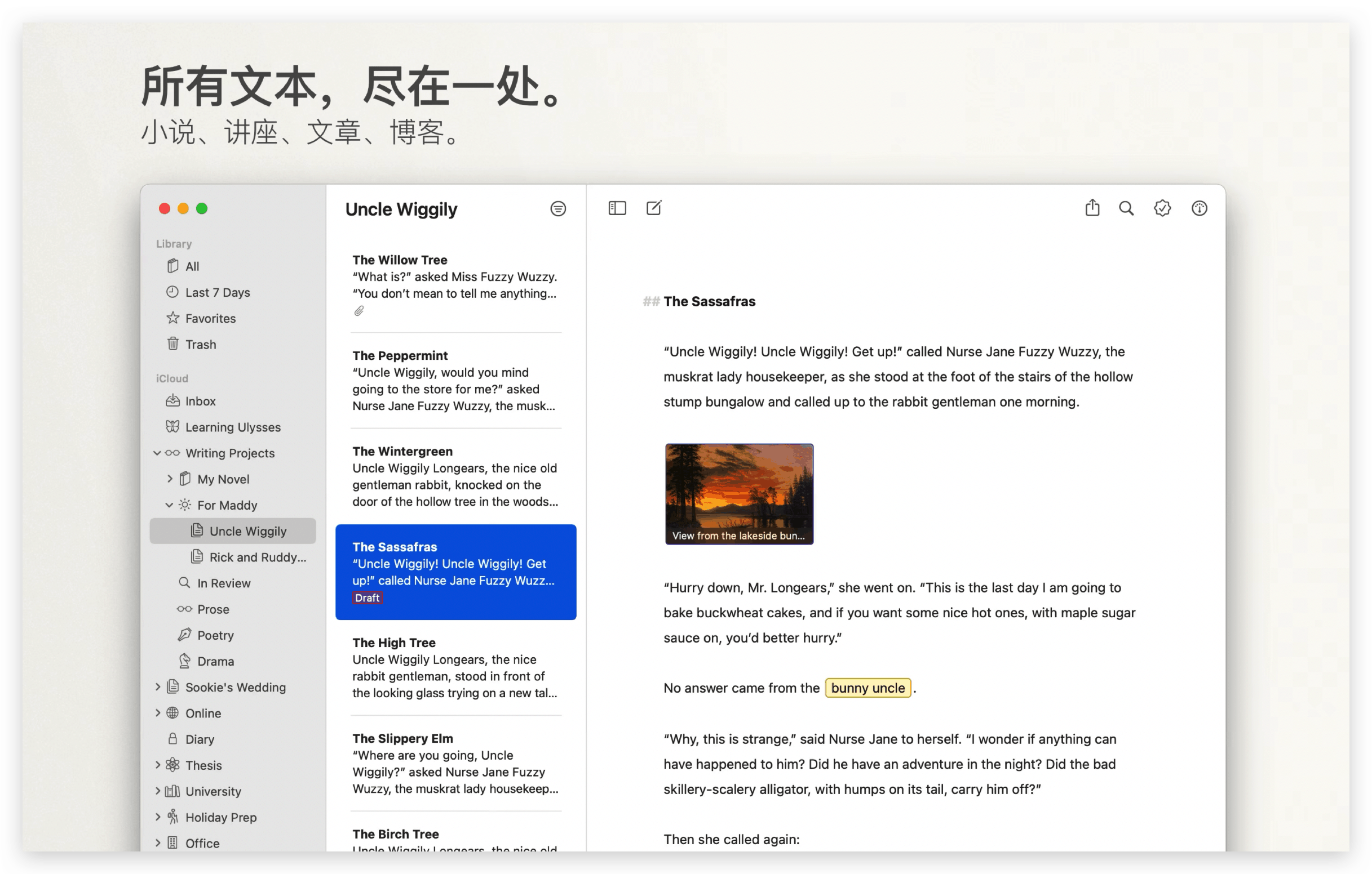 Ulysses for Mac v33.1 写作应用插图3