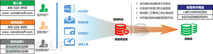 数据库加密，构建数据安全关键防线插图1