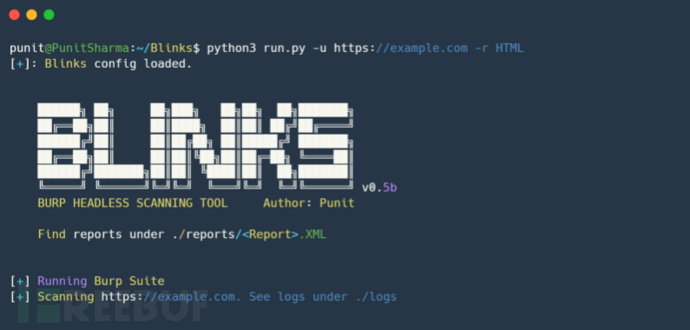 Blinks：一款针对Burp Suite Pro的安全扫描增强工具插图1