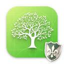 MacFamilyTree for Mac v10.1.1 强大的家族族谱制作工具插图