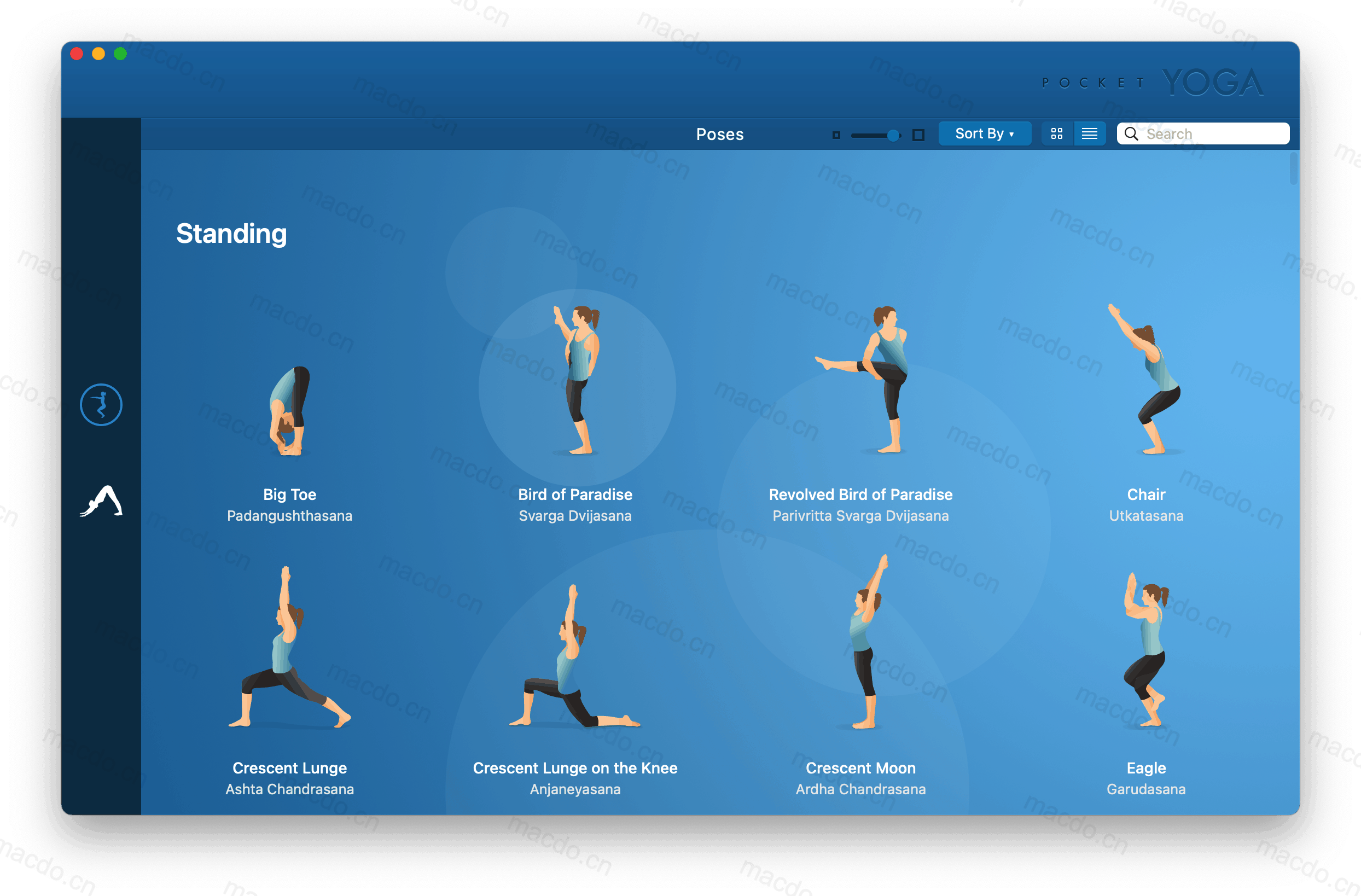 Pocket Yoga Teacher for Mac v12.0.6 瑜伽练习插图2